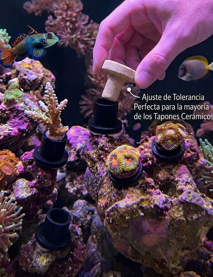 Soporte para Esquejes de Coral y Tapones de Frag cerámicos (10 unidades)