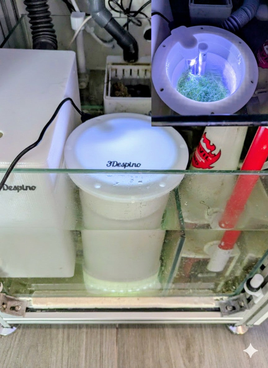 Reactor de Macroalgas Koraxis | Refugio Chaeto y Caulerpa para Sump Marino