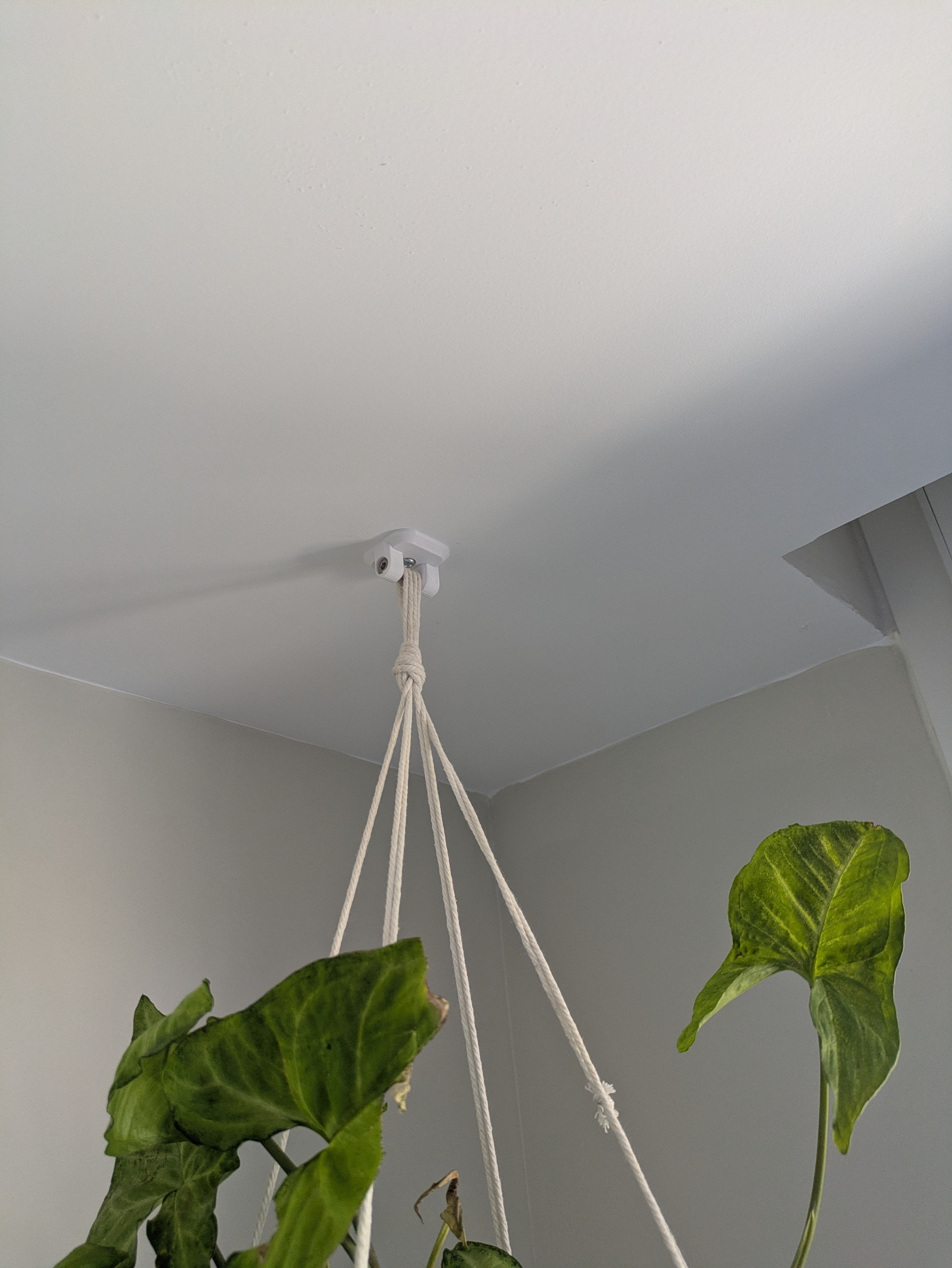 Gancho de techo para soportes de plantas de macramé