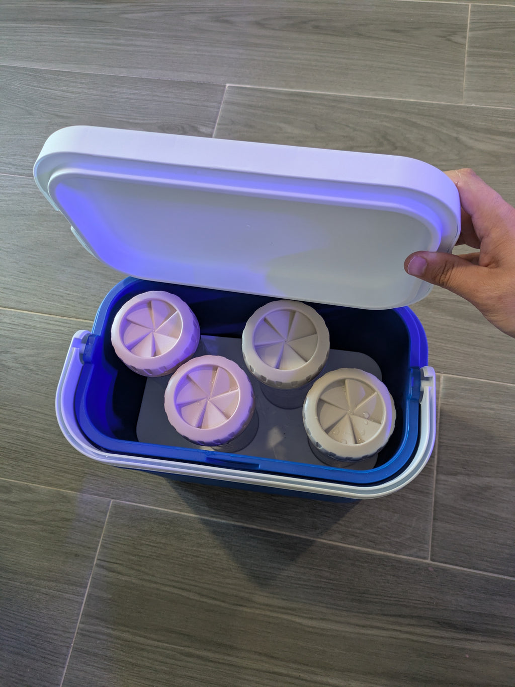 Caja isotérmica para transporte de corales